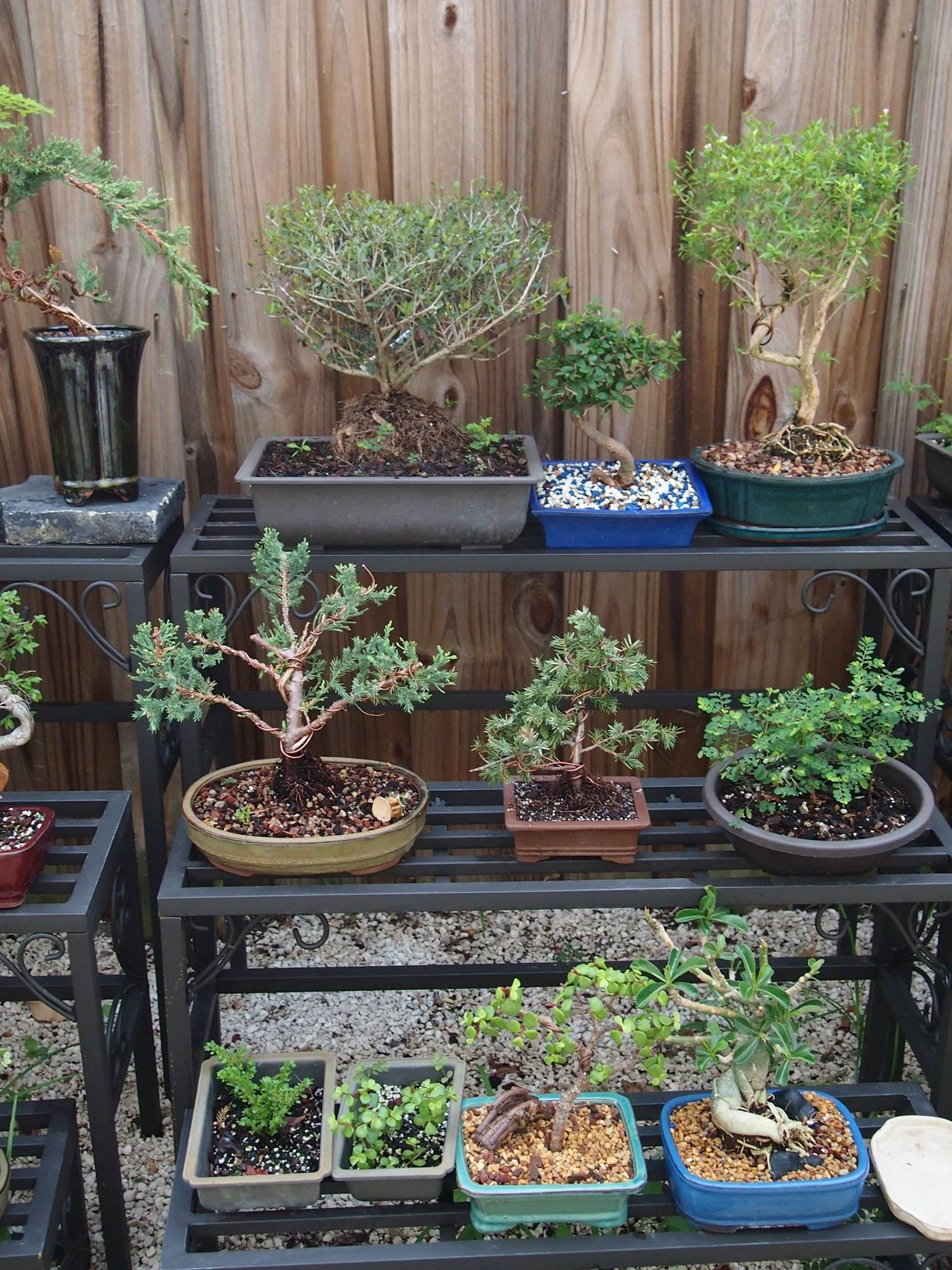 Bonsai Garden Shelf