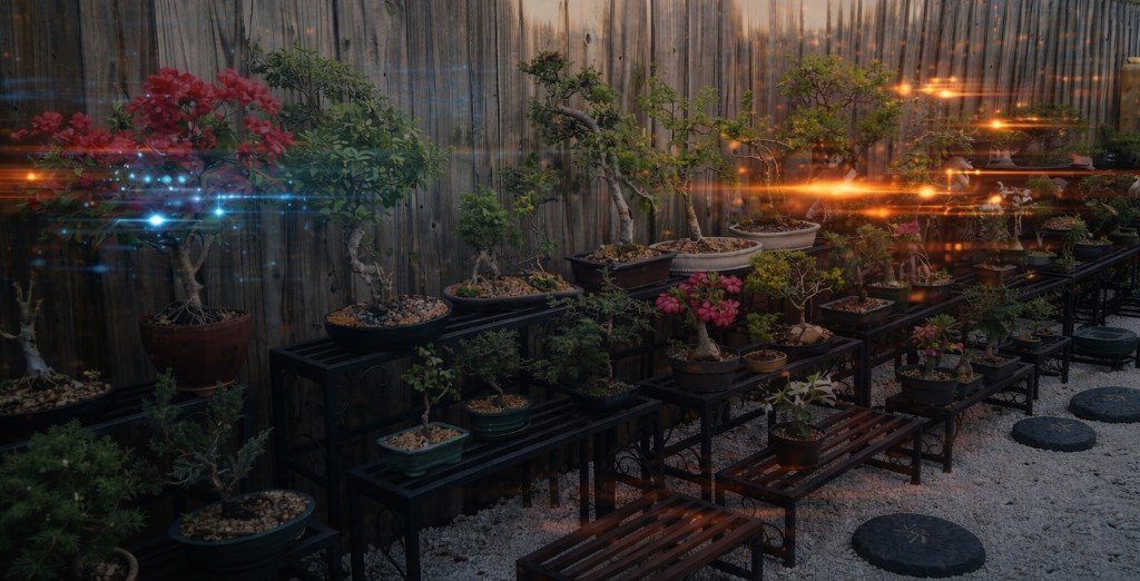 Beyond Bonsai Studio bonsai collection in Miami