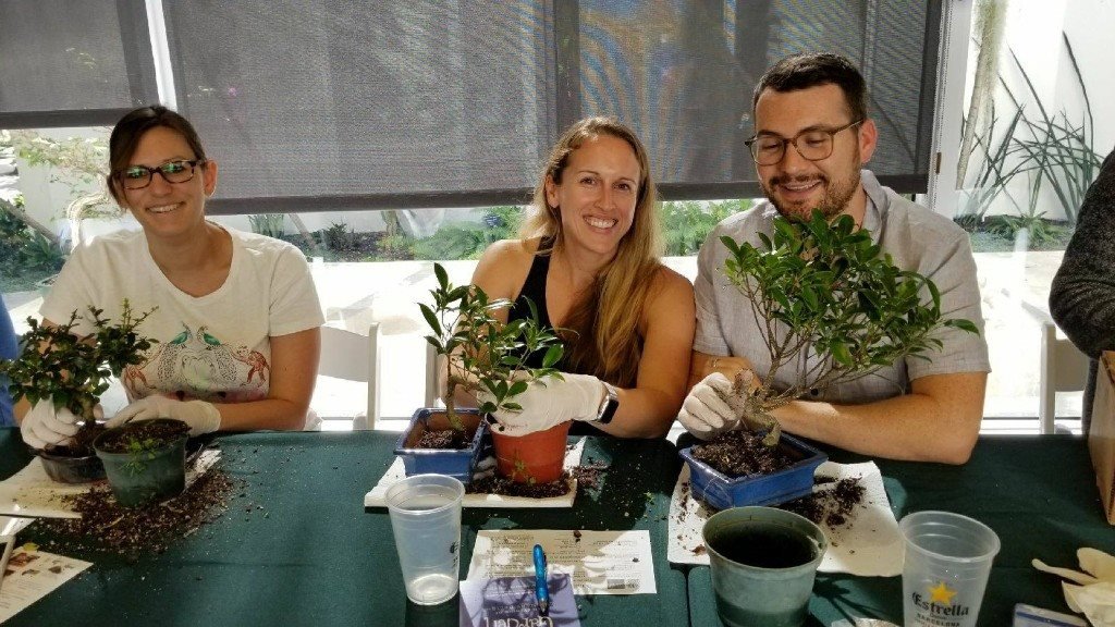 Students at a bonsai class at Miami Beach Botanical Gardens