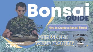 Bonsai Guides and Tutorials