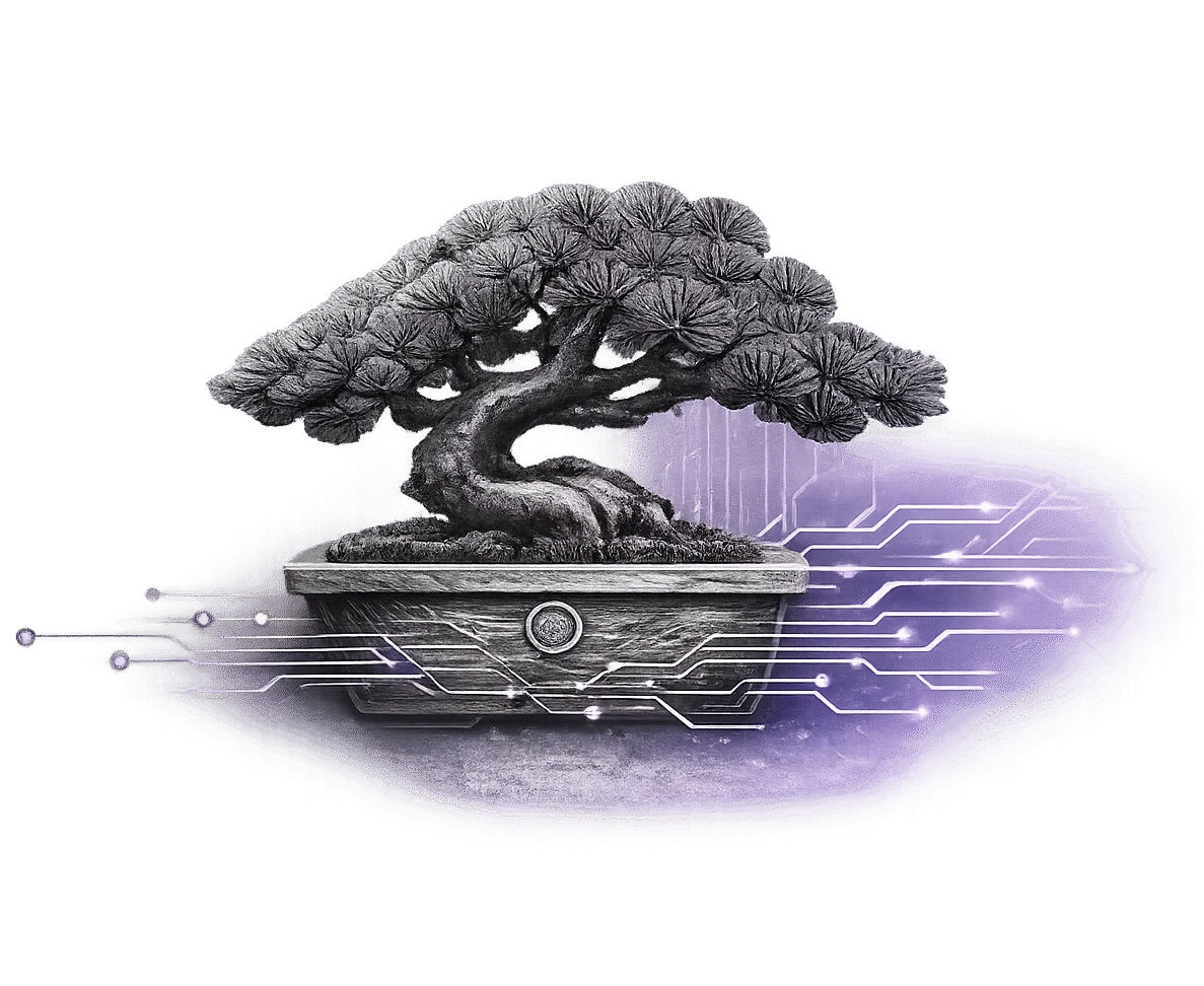 Bonsai Networking Group